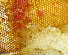 В Україні зростає попит на продукти бджільництва